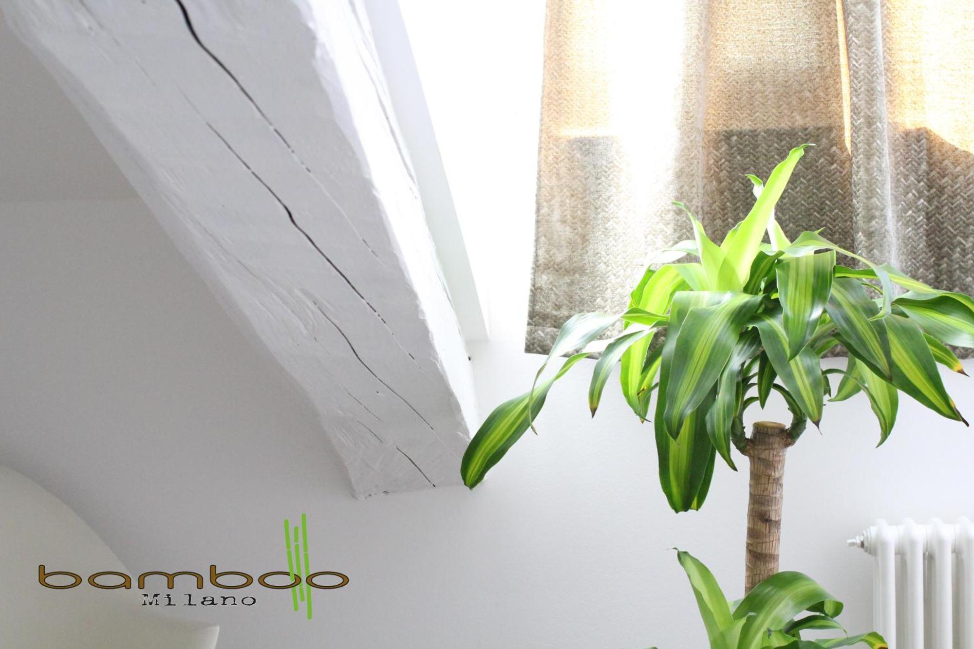 Apartament Bamboo Milano Isonzo Zewnętrze zdjęcie